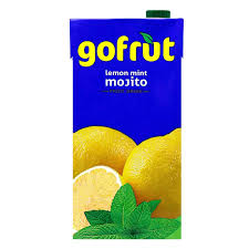 GOFRUT MOJITO FRUIT DRINK 1L TR