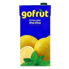 GOFRUT MOJITO FRUIT DRINK 500ML TR