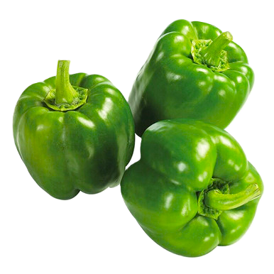 MB HOHO GREEN /KG