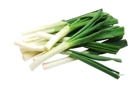 MB LEEK /KG