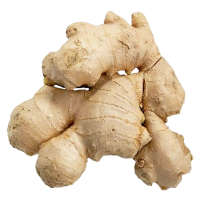MB GINGER /KG
