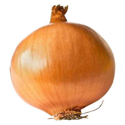 MB WHITE ONION /KG