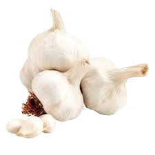 MB GARLIC 4PACK IMPORTED