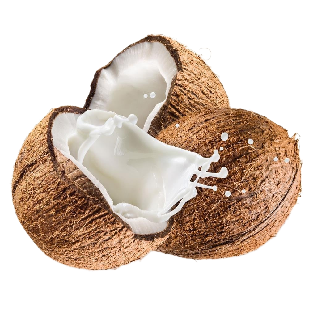 MB COCONUT FRUIT/KG