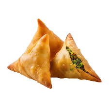 DL BEEF SAMOSA PC